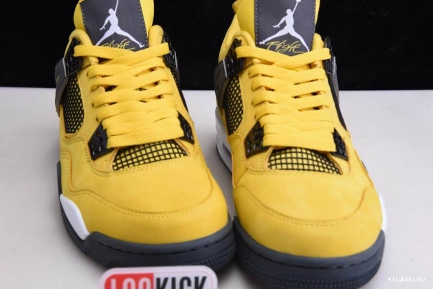 Air Jordan CT8527-700 Lightning Retro 4 1005